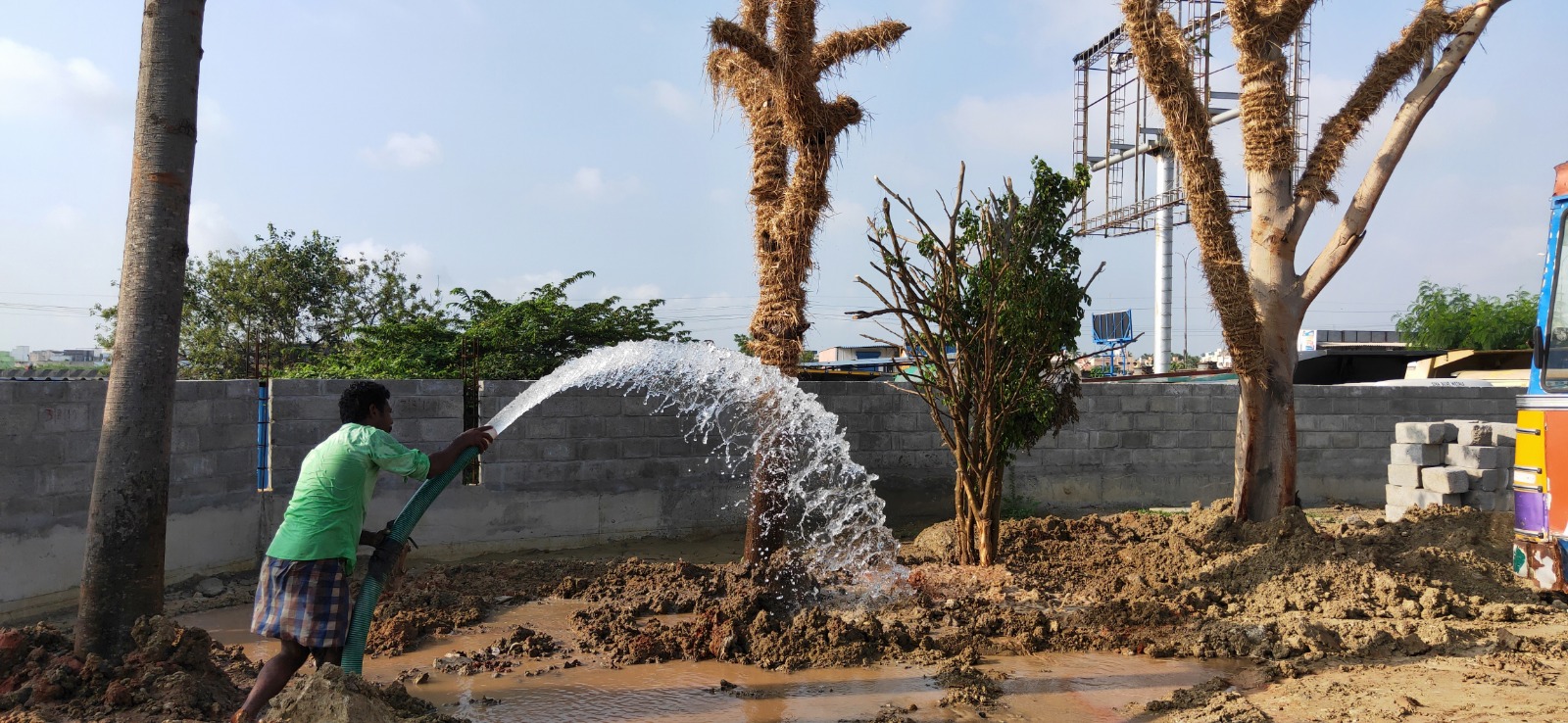 Post-Transplantation Care and Watering